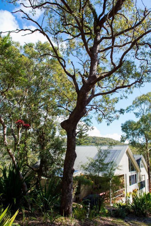 Nelson Bay Bed & Breakfast ภายนอก รูปภาพ