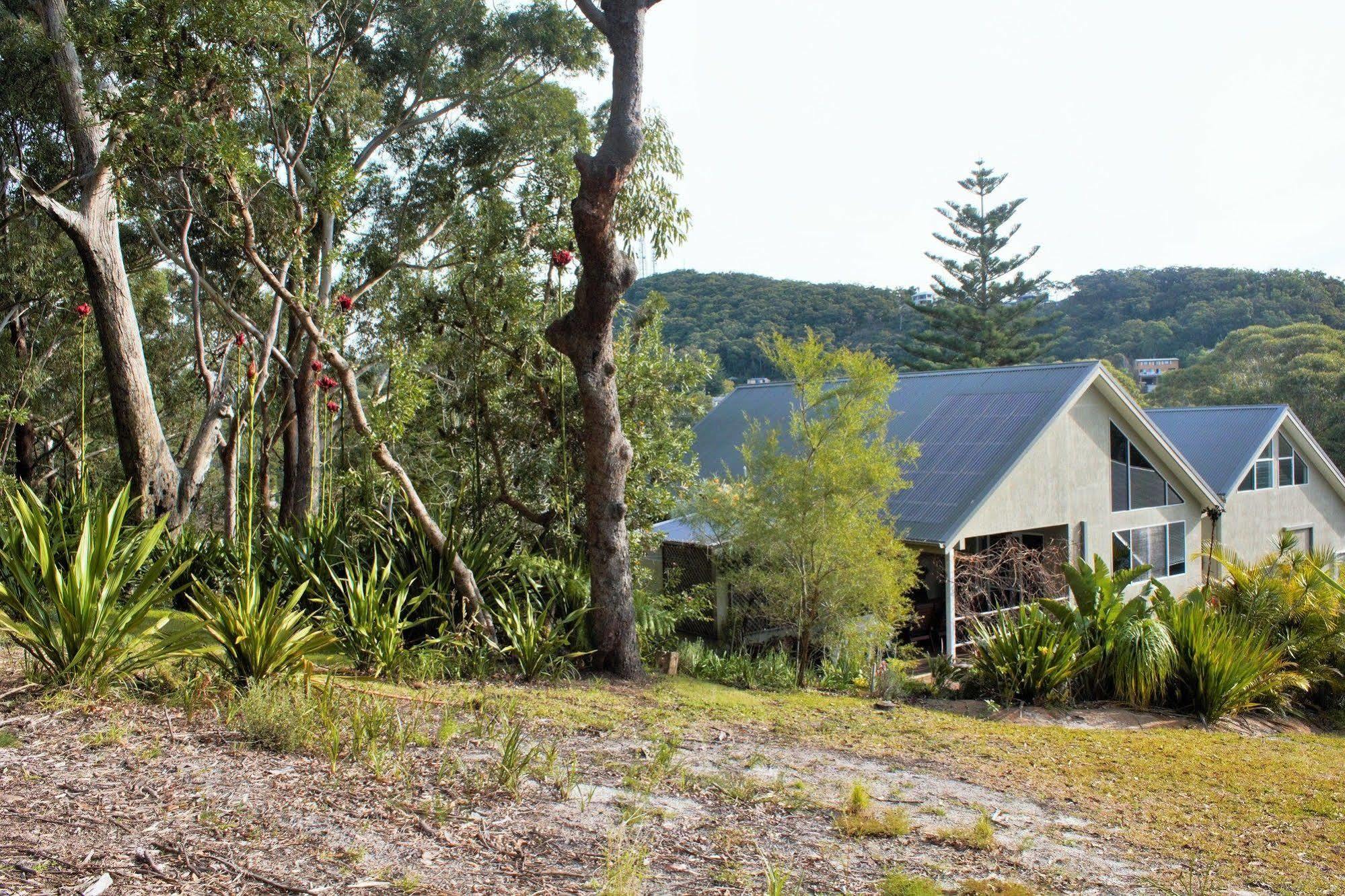 Nelson Bay Bed & Breakfast ภายนอก รูปภาพ