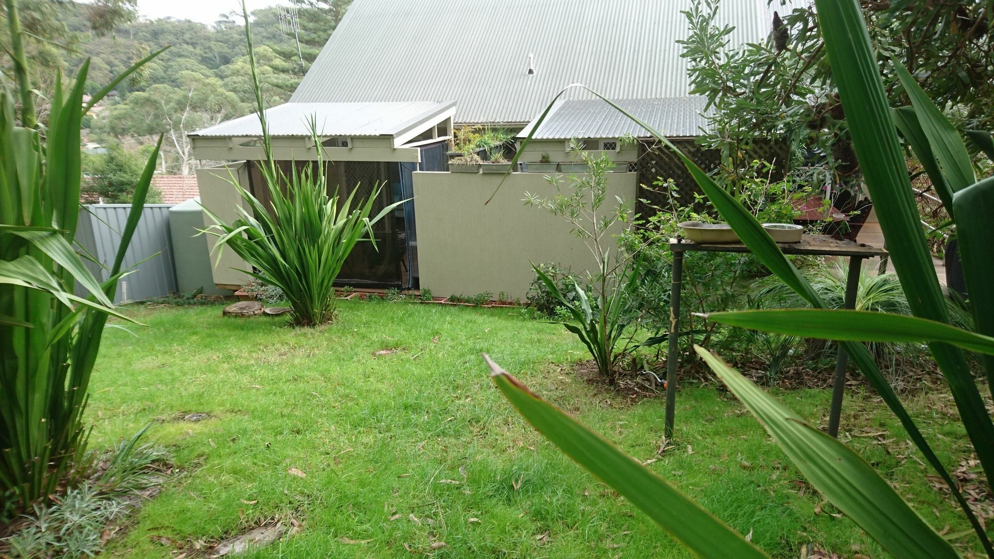 Nelson Bay Bed & Breakfast ภายนอก รูปภาพ