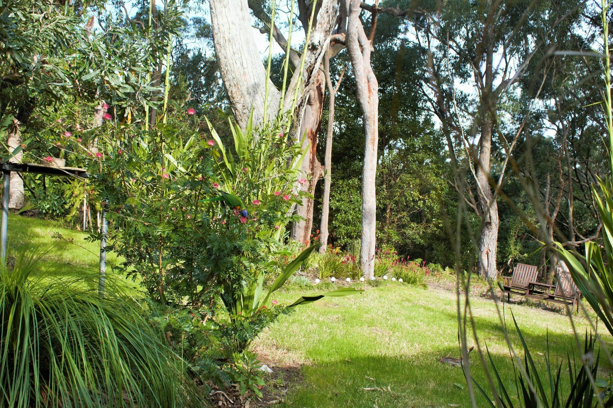 Nelson Bay Bed & Breakfast ภายนอก รูปภาพ